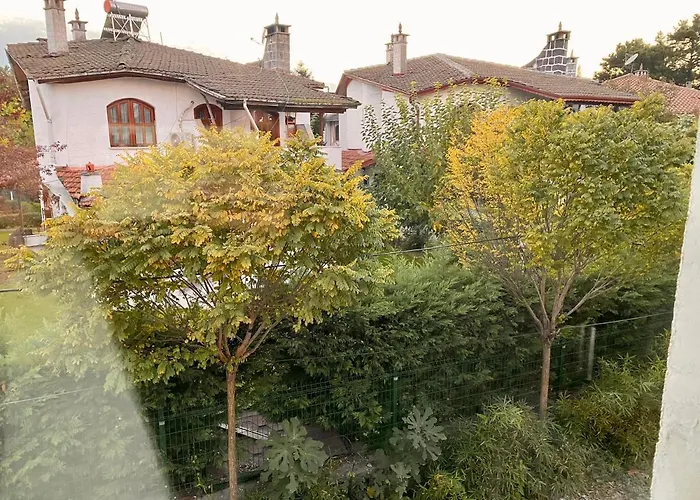 Peri Boutique ספנג'ה